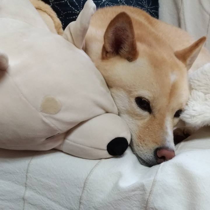 9101bb84 d7ae 4ed1 9b76 c99ffd32d616 1568338208307