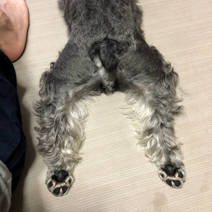 9101ce55 2c7b 4147 ae5b f268bb515d5f 1626999145132