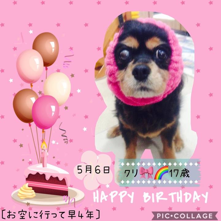 9101d7af 8a6c 4c01 89f9 6d8f921c5601 1588693340001