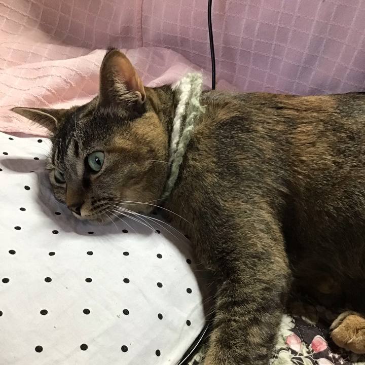 9101ed84 2940 4b33 9782 263a2ebe9b7c 1646905288922