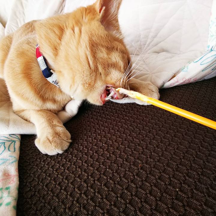 9101f280 7053 45b9 82e3 a91f3ac8b031 1559082941142