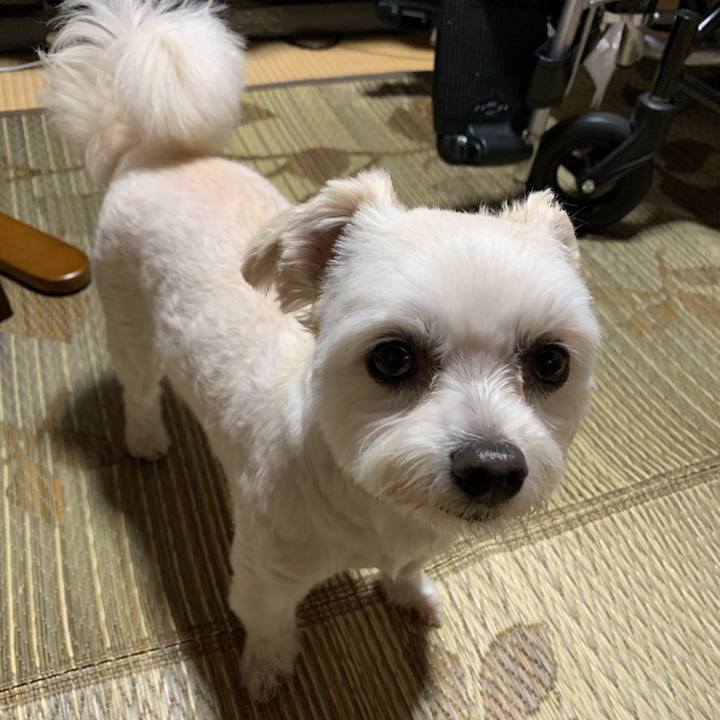 9101f879 72d6 4565 9268 c2c274cdc2b6 1591699836711