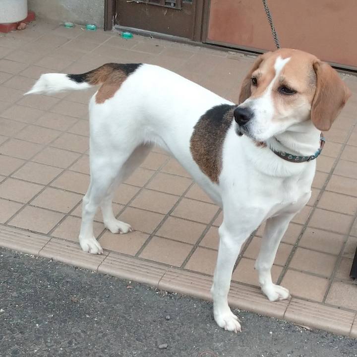 9102094f 7272 407a bfb9 506d2dbf3eba 1606711543725