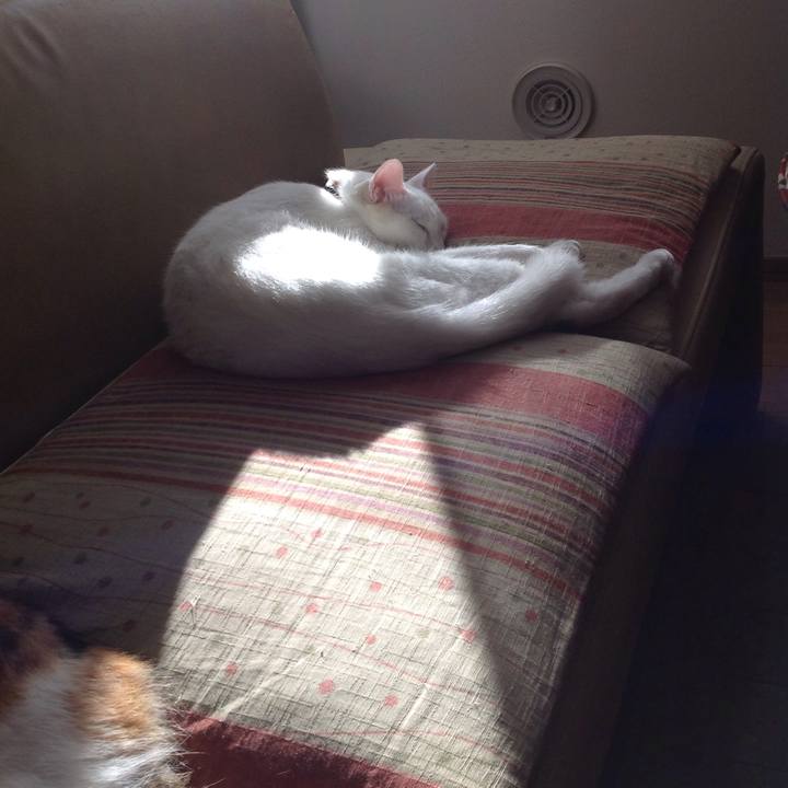 9102a7a5 4063 4105 a033 b7aa04cd240d 1635917496318