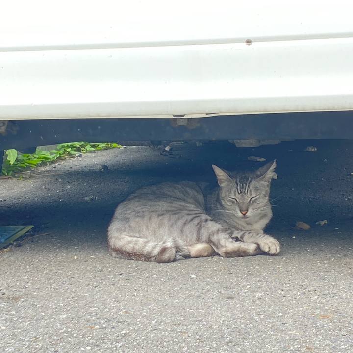 9102e506 cafc 4c27 af8c 3ec352abdd2f 1662811865676