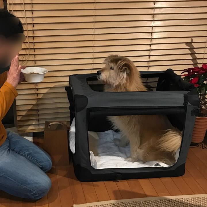 9102e646 c458 48fc 8f2c f9d9aa5ecba6 1674214543791