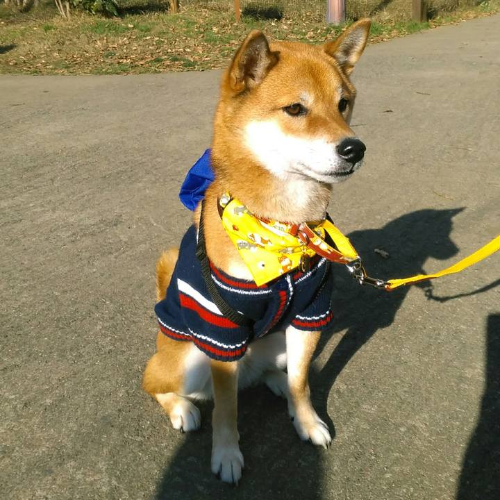 910314a6 f28f 4637 b0b5 6a88184eec7d 1512306911631