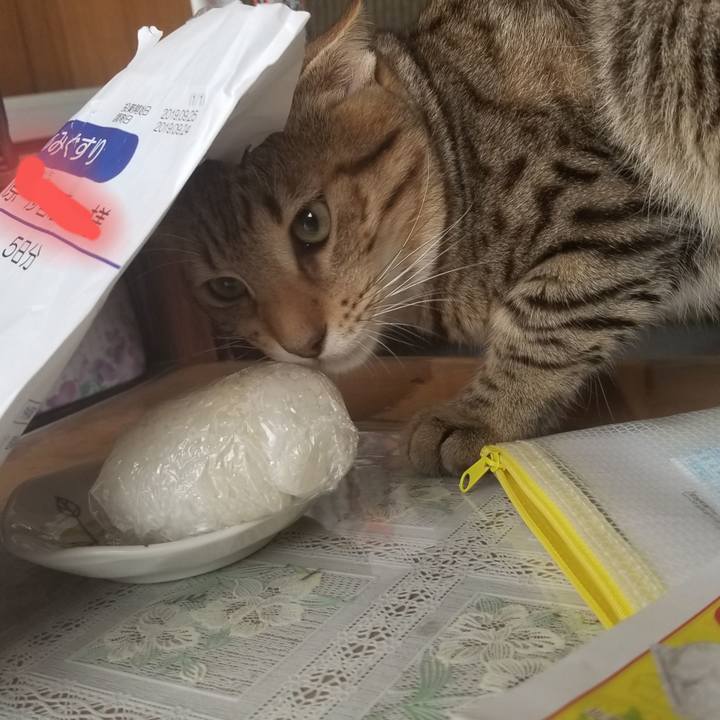 9103459d f89f 468d 92ba 4d0d62f62431 1569594463494