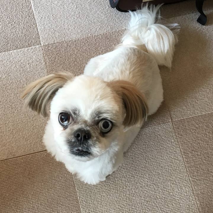 910385d8 d74c 480a 8a36 230fb3aa3df1 1553646774120