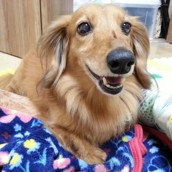 9103b684 5d50 4490 943f 4aee2129b559 1556028749131