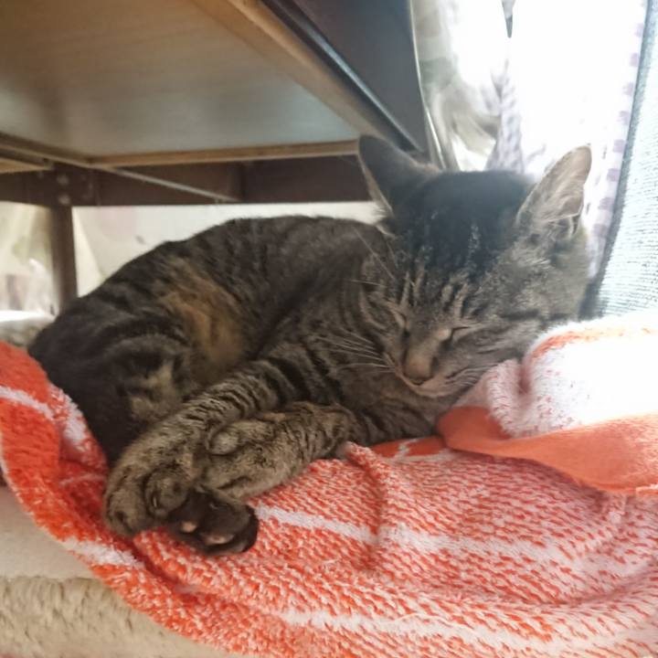 9103f23a e842 4742 bca4 dc3c39cc53f2 1649921071583