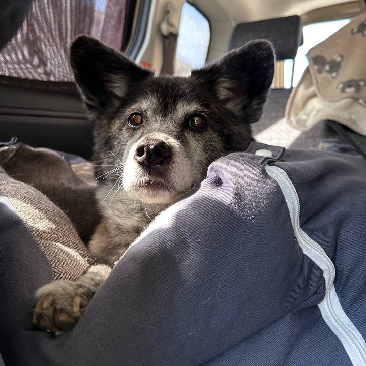 910410d2 15e0 470d 8ce3 74978b87e00c 1772444196489