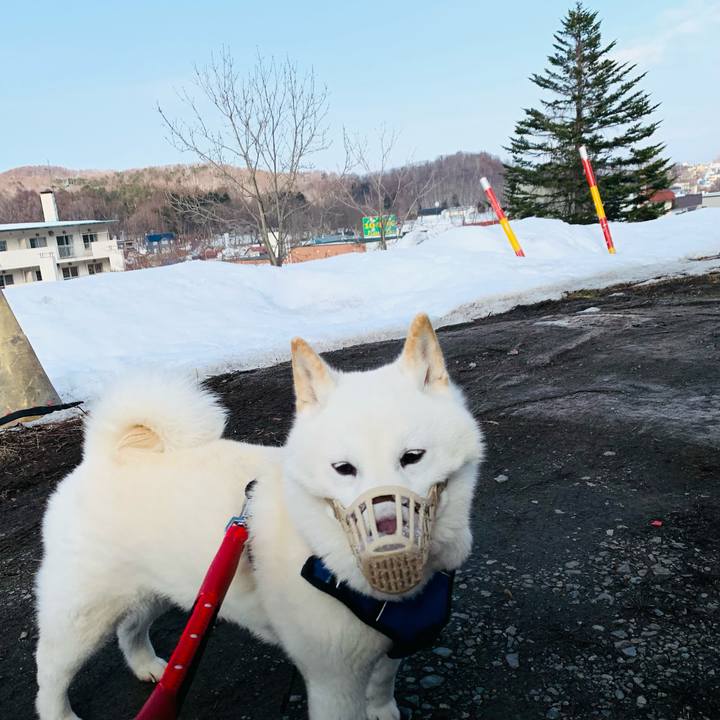 91045d30 0b5f 4f23 a22f bf5dfb6f45d9 1648103287100