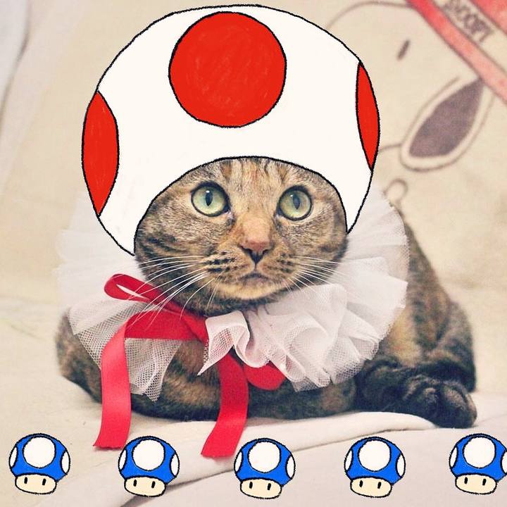 91048c46 fb0a 4e7c ad60 c878caeee2e1 1685572958211