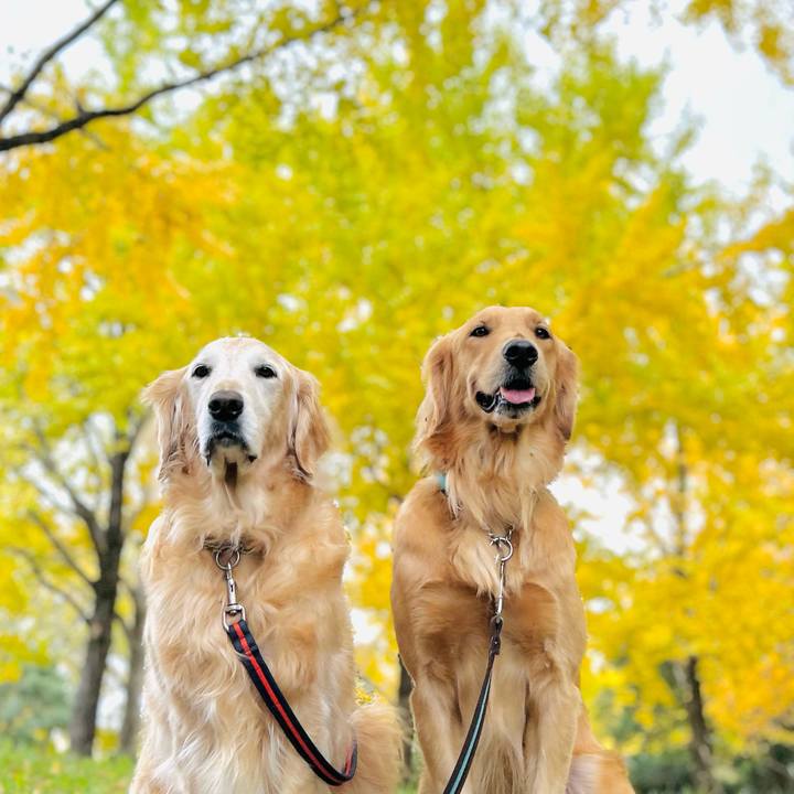 9104b027 fcd2 41c3 9dab 1b267f8ee0a2 1763545631213