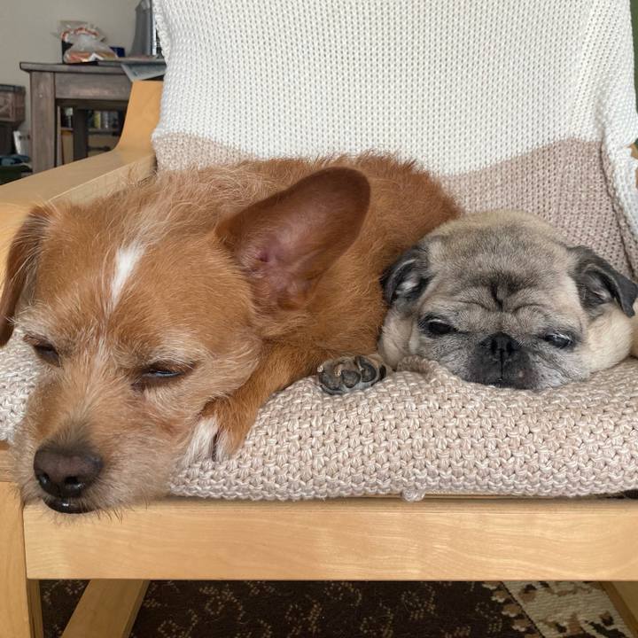 9104bdfe a204 4b00 8f60 e7dc8c64b2f9 1617334826333