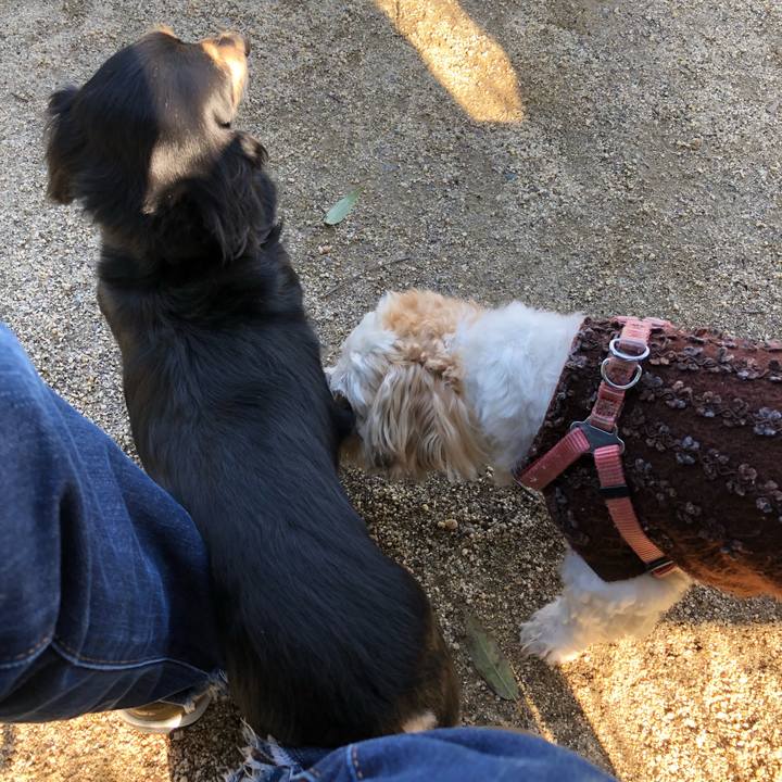 9104c865 4d34 4f8f 866b 49fa46632389 1520977882392