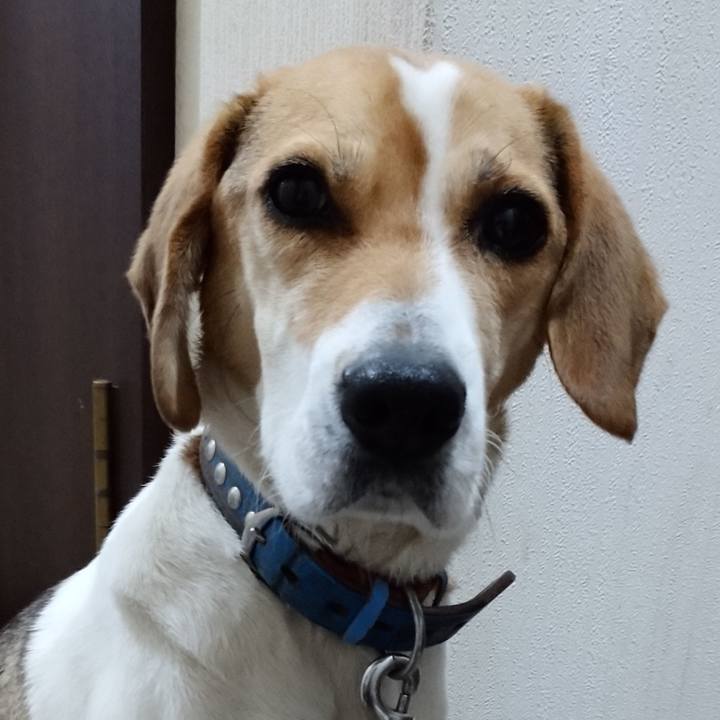 9104fc74 3ec7 4863 808d 33350b41b5c6 1611047322577