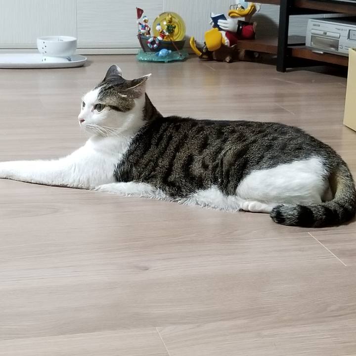 9104fe6f fa57 4c54 8617 36215da716f6 1616324736251