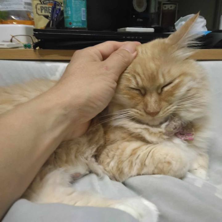 910526db 7eb6 4842 bcbd e8beb2e70b4b 1703594648406