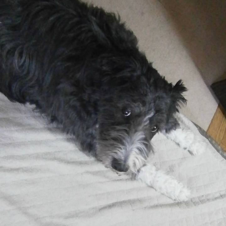 91053fb2 dc6e 4bcb a2e8 edec41f45f7f 1685347905782