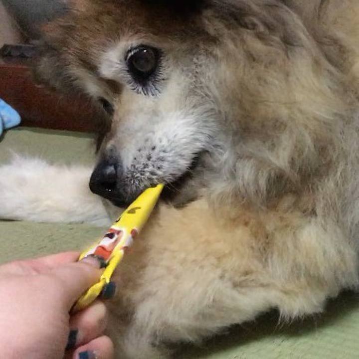 9105464a fa0b 47be a68b da78d4439bb8 1588945257531