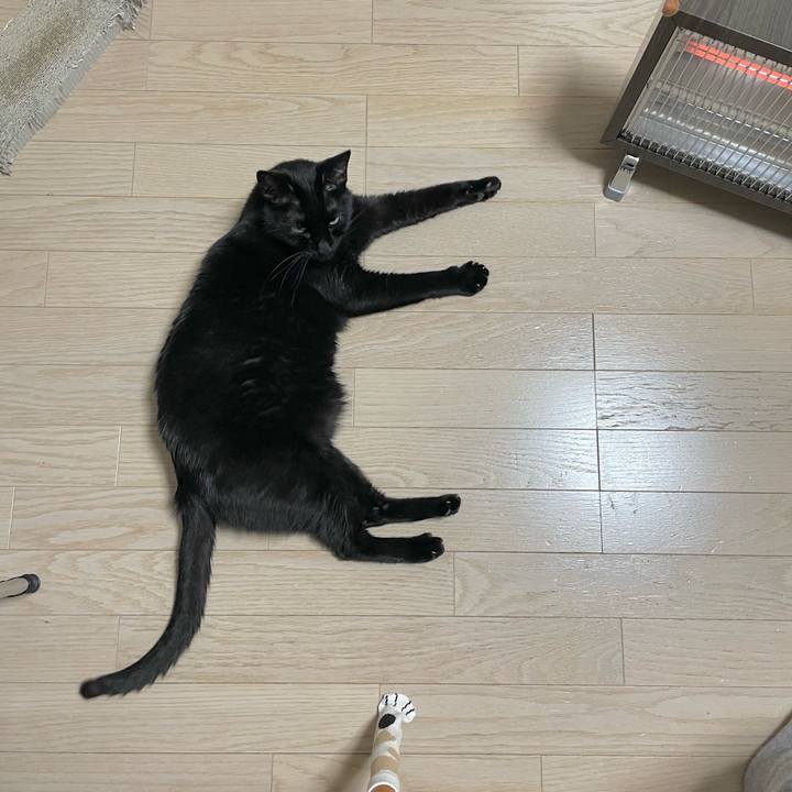 91056dc4 4aba 4a90 86ed 2da13420bd03 1643378941593