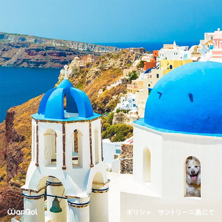 91058ed8 039a 4820 9e19 8f7ccf6beceb 1615585693549