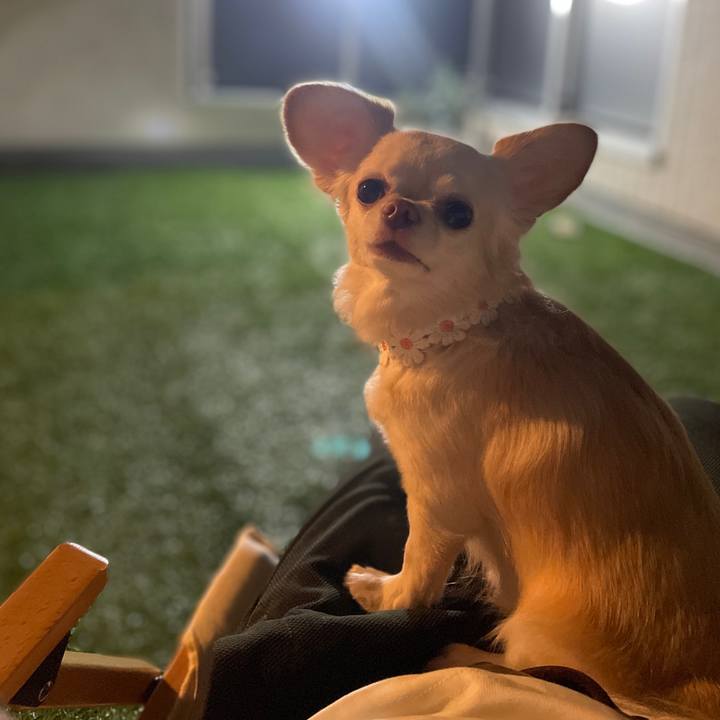 9105bc1c afd7 4fda 8e3f 7ec0b98b26f9 1695472597076