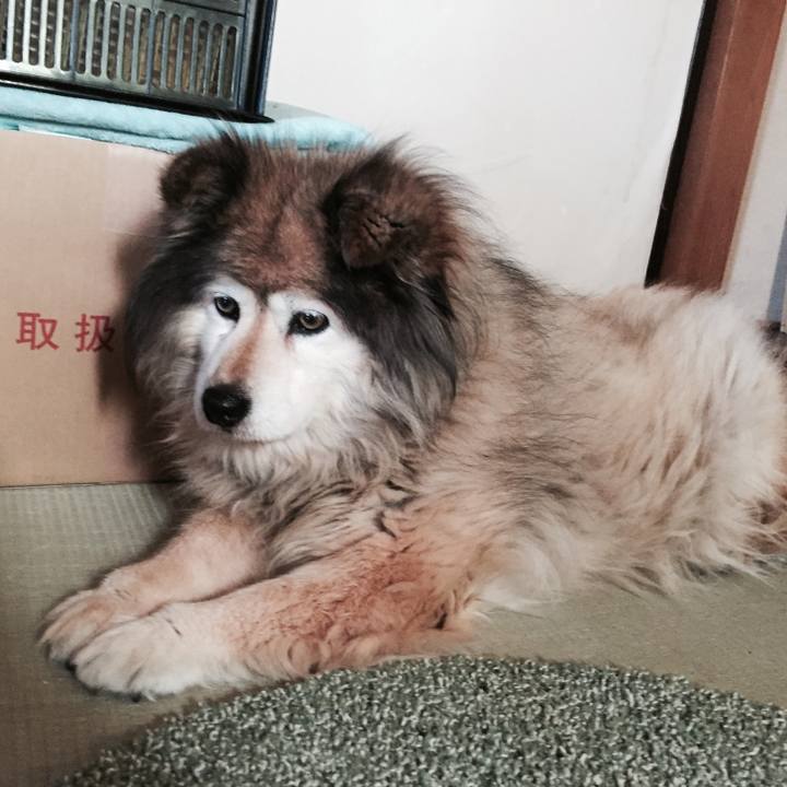 91061170 16b9 4b84 9f5f 04d0494ff212 1617412101507