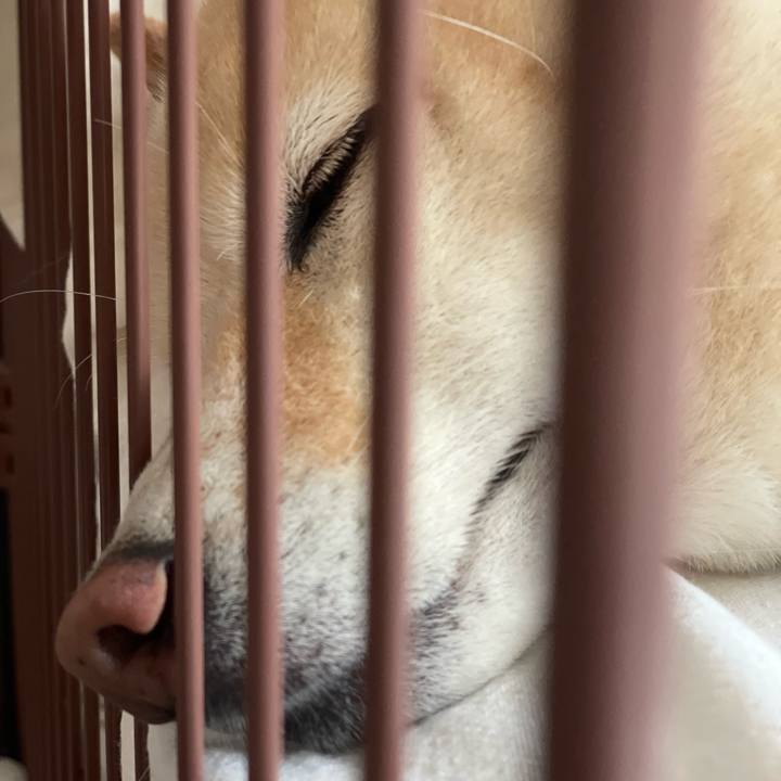 910668a4 f9ad 44ff 8f0a d2fba1adbe7e 1720231205082