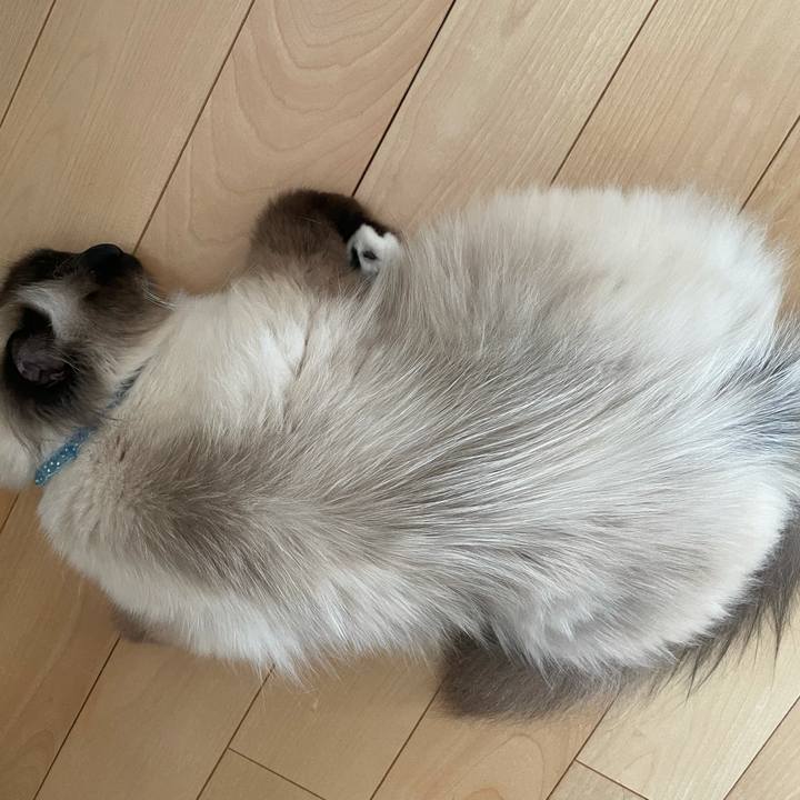 91069561 3da5 4f49 99b8 de50218768e3 1623577811375