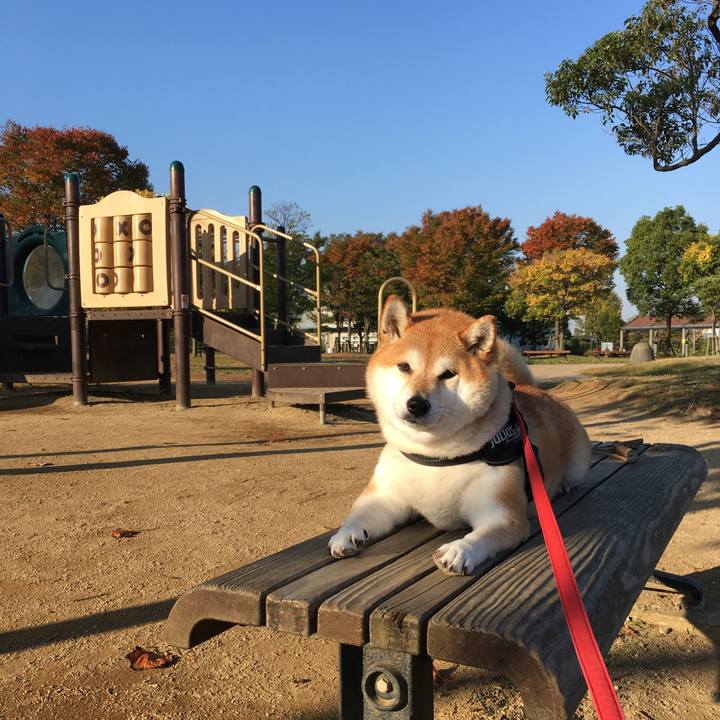 91072864 b704 4896 8e61 f2b3c595c43a 1603928334785