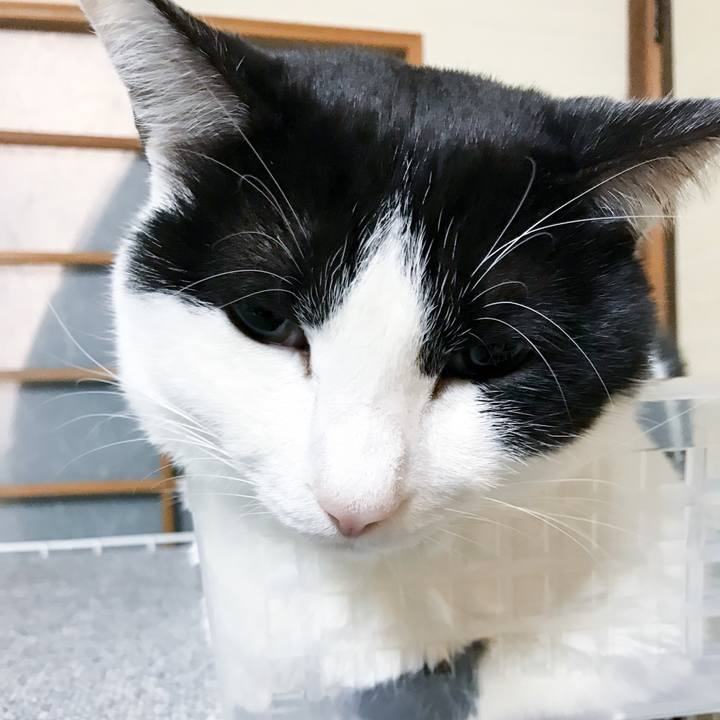 91072c76 8720 4bd5 b021 0d69504e1c5e 1512126944107