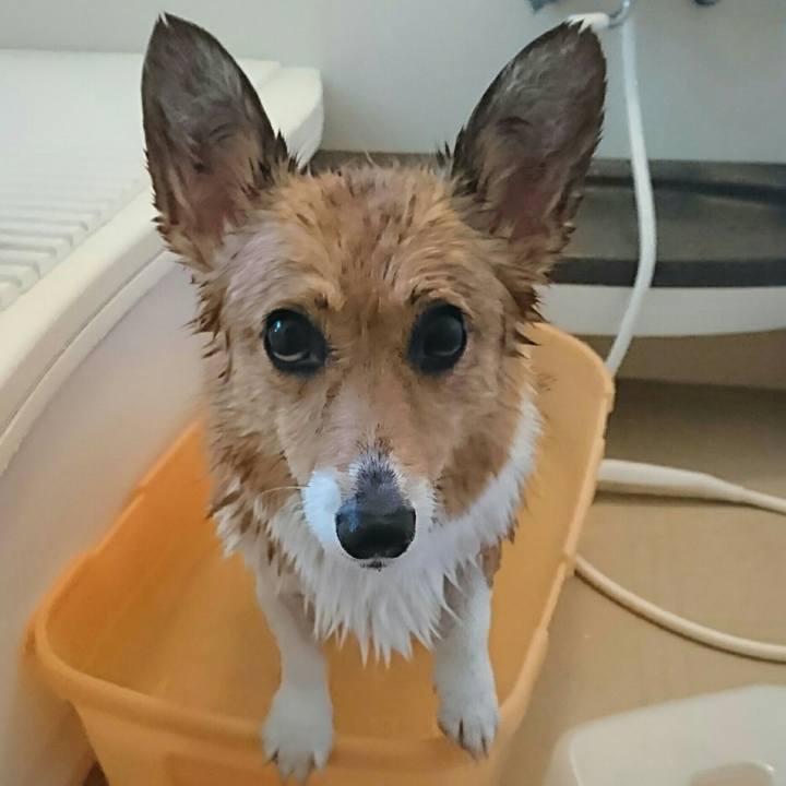 9107901b 48ba 448a a2e9 95640554625e 1551003460497