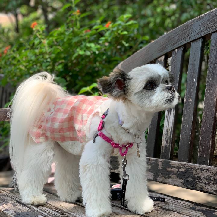 9107b44a ac64 4ce7 bbf2 8804798af225 1560840427846