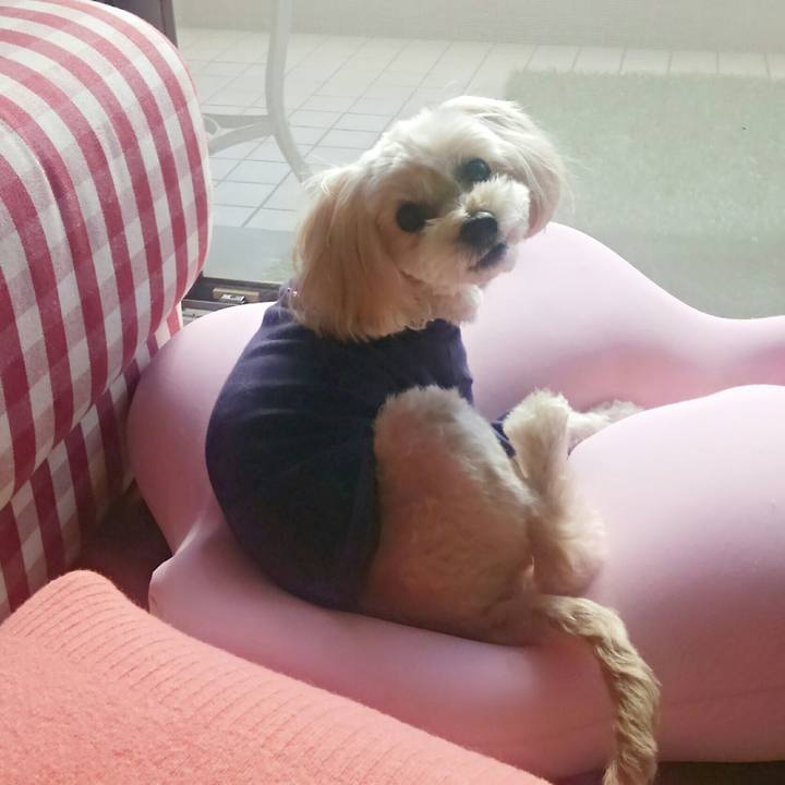 9107ceac 8427 4f38 9d4f 4689d2486626 1514434194693