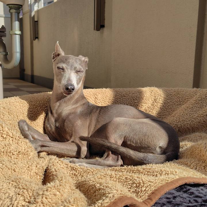 9107ddc1 488a 46e4 9adf 91d916a3ae28 1760529247756