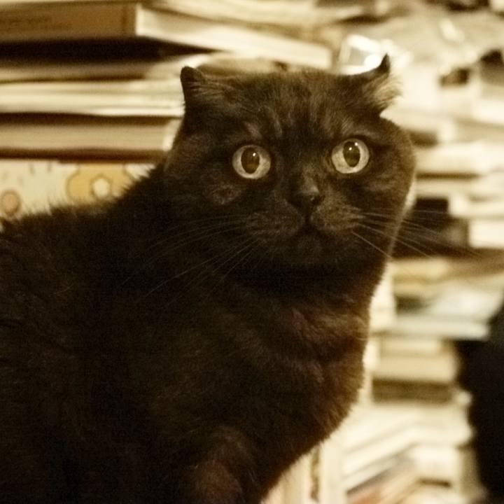 910808e4 e0ca 4787 a5cd c10eb9ceff82 1616690302819