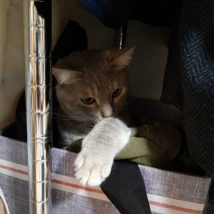 91081600 6796 430f b30b ae3c5f48cd08 1559432734984