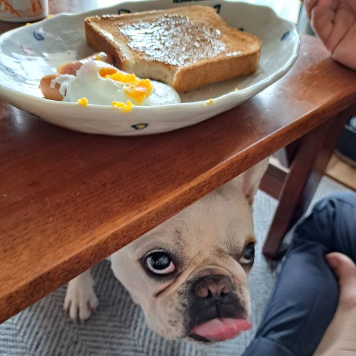 910817ad 8006 4f24 81b7 11d8c231d117 1716591040280