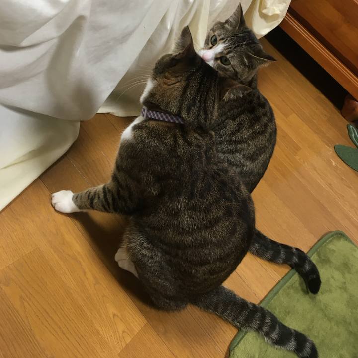 91087a31 b0a8 4b1f a773 a9a0f8402a55 1710922685095