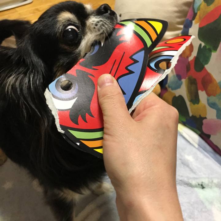 91088243 8008 4483 8390 5a9c80a970f4 1517660004367