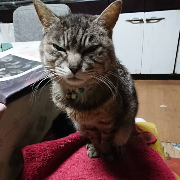 9108b96b 68e3 49ca bbc4 a278492cb906 1556570012134