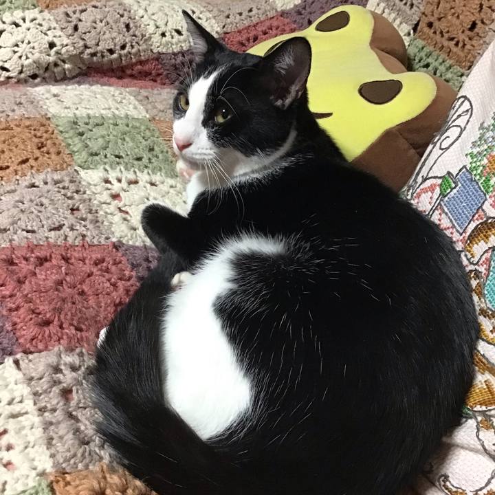 9108cbd9 8bfb 453e b459 478855ac20ad 1638351342985