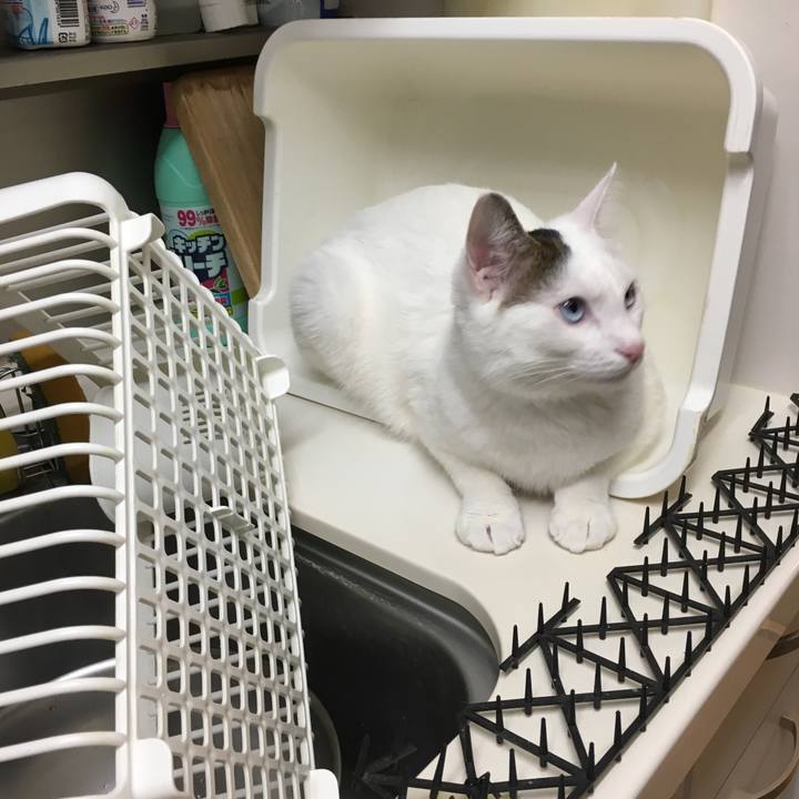 9108e048 4051 453f a35b 5ff0889b400d 1515899727361