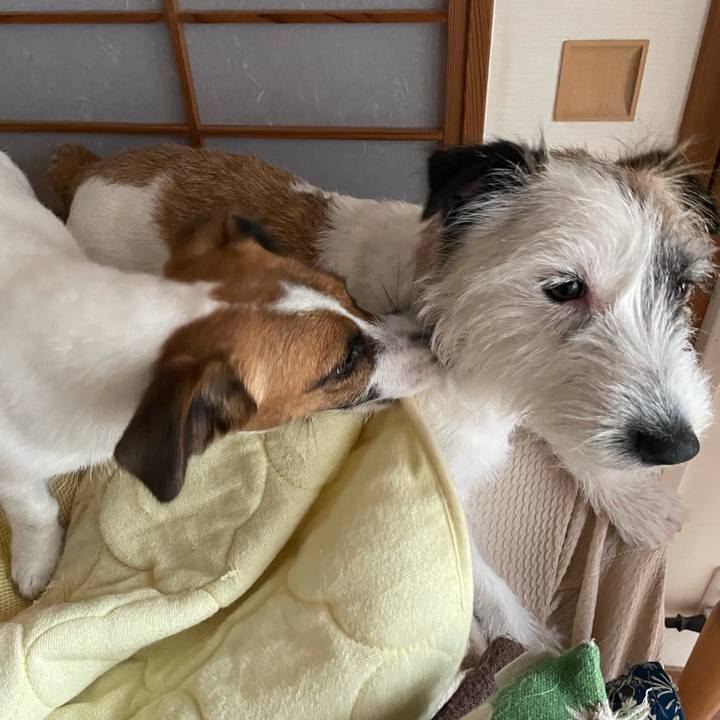 9108f089 eada 4568 ac11 f5374cccf831 1625962360089