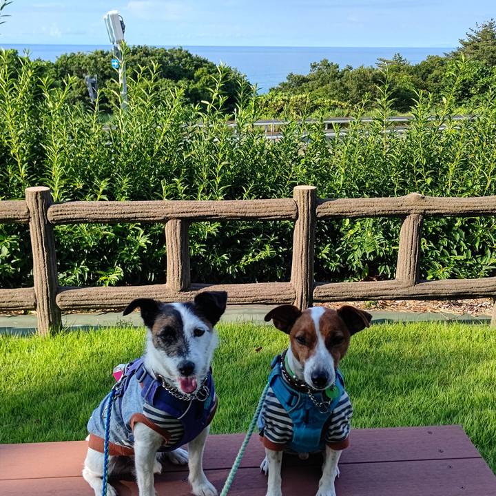 9108f21a 2713 468a 8eb2 466fb92a204d 1658044984891