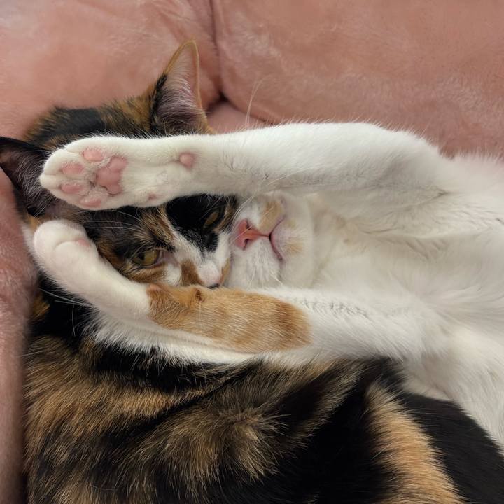 9109051e 9634 4094 8895 69cb375a96c8 1773642772053