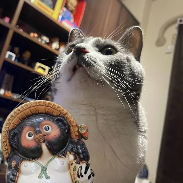 910913b6 6376 40f1 99ef 5aa7085ebc33 1703665709189